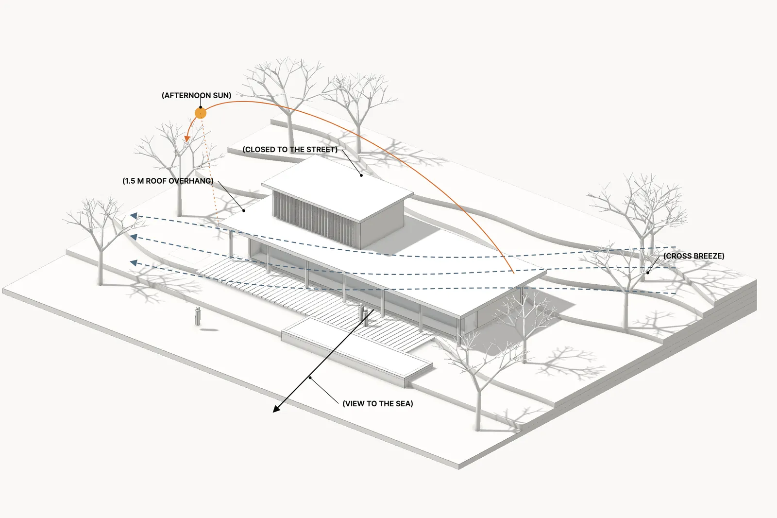 White massing model of a house on a contour base, with branch trees and diagrams of the cross breeze, the afternoon sun and the view to the sea