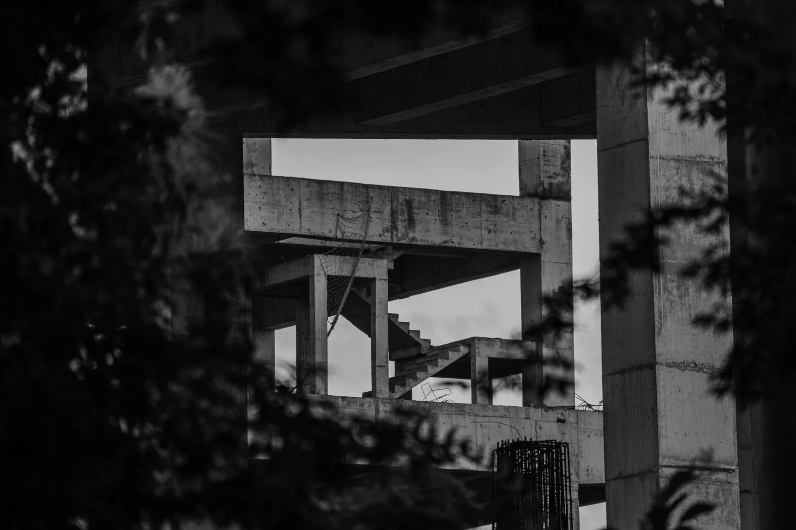 A concrete frame seen through dark foliage, in black and white